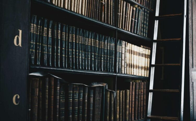  A Short Playbook for Companies and Individuals